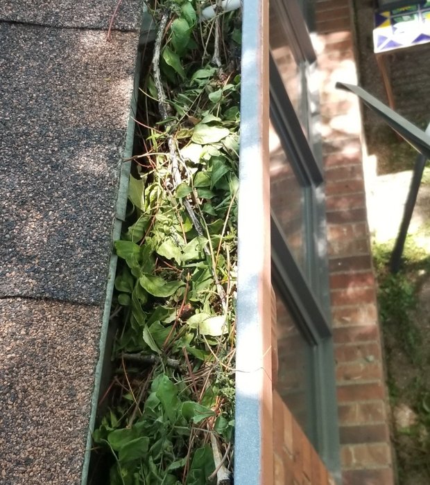 Performance Gutters gutter cleaning project in Northern Colorado
