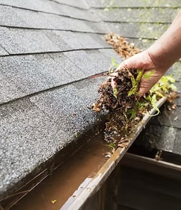 Clogged gutter packed with leaves and debris on a Front Range home